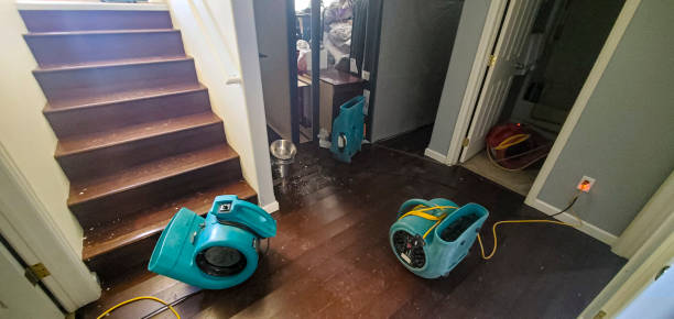 Best Water damage cleanup near me  in Sugarcreek, PA