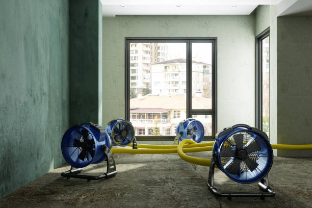Best Water damage restoration near me  in Sugarcreek, PA