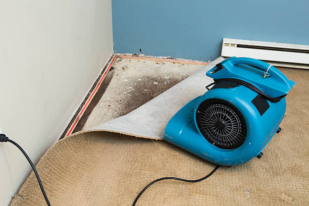 Best Flood damage cleanup  in Sugarcreek, PA